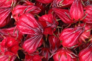 Hoa atiso sấy dẻo / Dried Artichoke